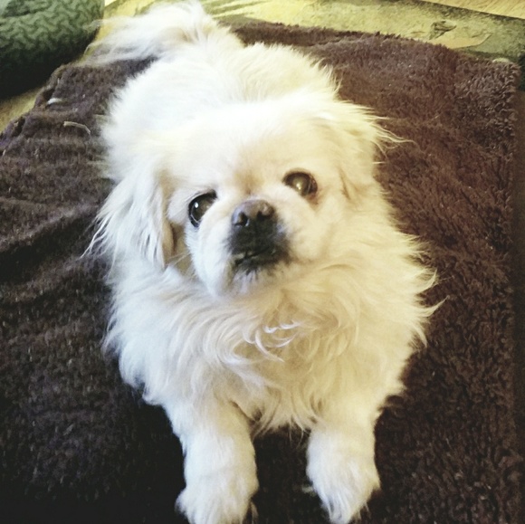 Meet your Posher, Melissa - Picture 5 of 8